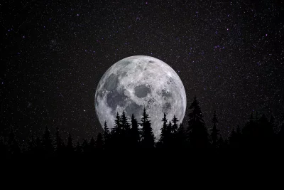 Majestic Full Moon Rising Above Pine Trees Under Starry Night Sky Cinematic Wallpaper image