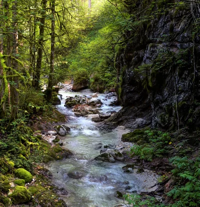 Serene River Flowing Through Lush Green Forest Canyon with Sunlight Illuminating Nature image