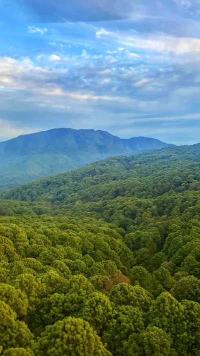 Lush green rolling hills under a cloudy blue sky with distant mountains
