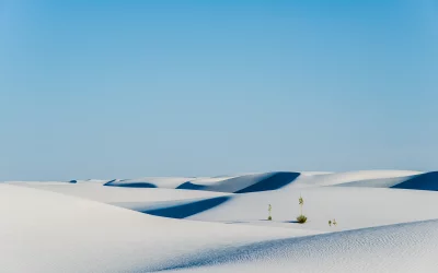 Serene White Sand Dunes Under Clear Blue Sky with Sparse Desert Vegetation image