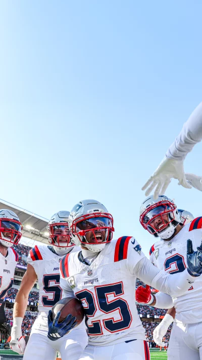 New England Patriots Players Celebrate Touchdown on Sunny Football Field