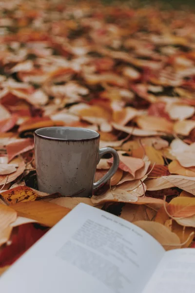 a close-up of a gray coffee mug on a bed of fallen autumn leaves