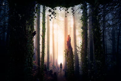 Solitary Woman Walking Towards Ethereal Light in an Enchanted Forest Pathway image