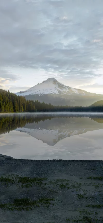 Misty Mountain Lake Reflection at Sunrise with Evergreen Forest