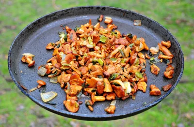 Sizzling Chanterelle Mushrooms with Green Onions in Rustic Frying Pan Outdoor Cooking image