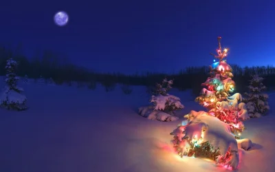 Magical Winter Night Scene with Snow-Covered Christmas Tree and Glowing Lights image