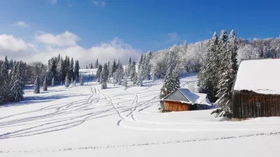 Serene Winter Landscape with Snowy Fir Trees and Rustic Cabins on a Bright Sunny Day image