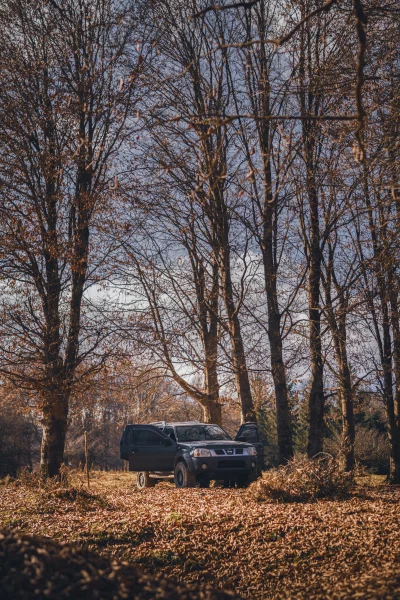 SUV parked in autumn forest with doors open and fallen leaves scattered