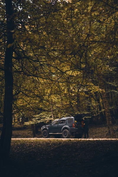 Person Loading SUV on Forest Dirt Road Amidst Golden Autumn Foliage