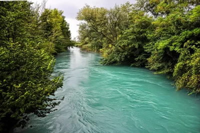 Vibrant Turquoise River Flowing Through Lush Green Forest Landscape image