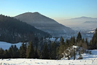 Serene Winter Mountain Landscape with Snow-Covered Forests and Hazy Valley Under Clear Blue Sky image