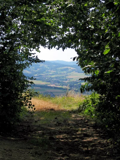 Hidden Scenic Forest Path Through Lush Green Foliage Framing a Picturesque Mountain Valley Vista image