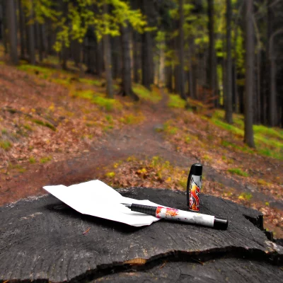 Writing and Reflection: Pen, Paper, and Lighter on a Woodland Tree Stump image