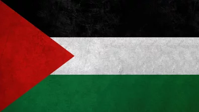Distressed Palestine Flag Illustrating National Pride and Enduring Heritage image