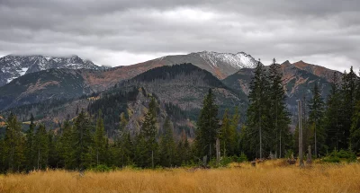 Misty Mountain Forest Landscape with Snow-Covered Peaks image
