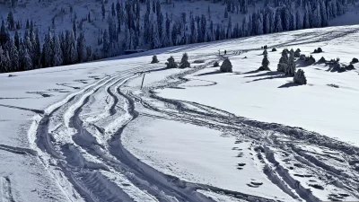 Alpine Ski Tracks and Footprints on Snowy Mountain Slope with Pine Trees image
