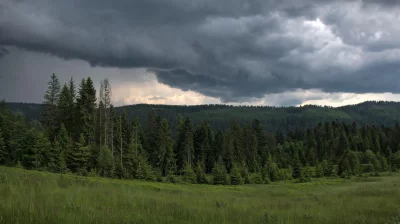Dramatic Storm Clouds Loom Over Lush Green Forest Landscape image
