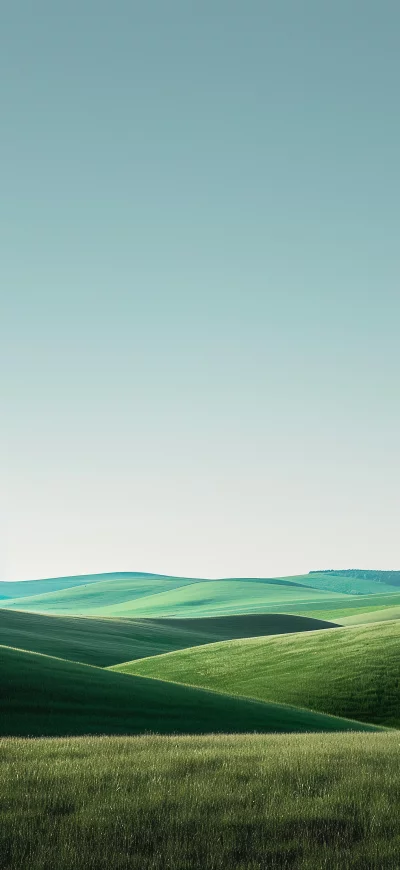 Vast Undulating Green Hills Under a Serene Clear Sky, Natural Agricultural Beauty image