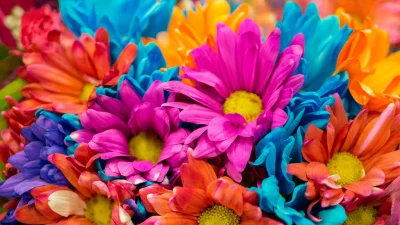 Vibrant Colorful Flowers Close-up Botanical Wallpaper Background Eye-Catching Floral Design image