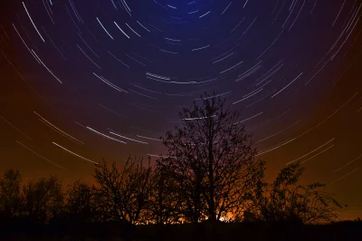 Star Trails over Horizon with Tree Silhouettes in Astrophotography image