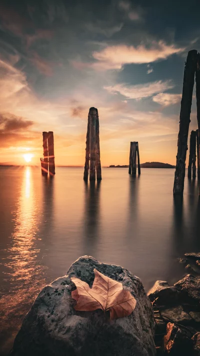 Autumn Leaf on Rock by Old Wooden Pilings at Golden Sunset