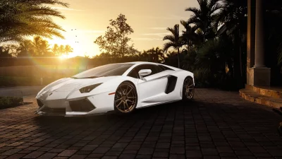 White Lamborghini Aventador Luxury Sports Car at Tropical Sunset Mansion image