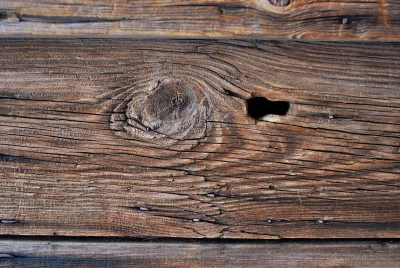 Rustic Weathered Wood Planks with Knots and Rusty Nails Close-up image