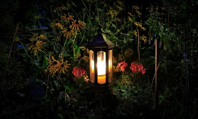 Romantic Garden Lantern Illuminating Flowers at Night image