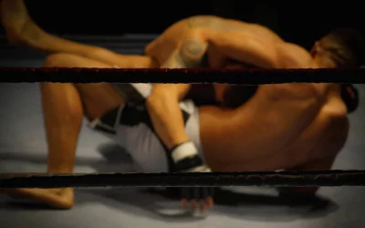 Intense Mixed Martial Arts Fighters Grappling in a Professional Boxing Ring image