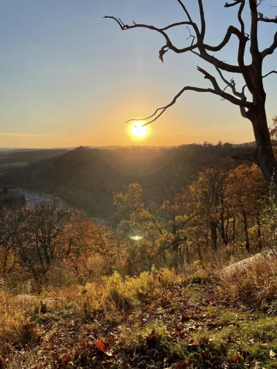 Golden Hour Sunset Over Autumn Forest Landscape with Bare Tree Silhouette