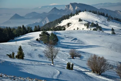 Sunny Winter Mountain Landscape with Snow-Covered Hills and Evergreen Trees image