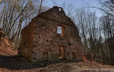 Ancient Stone Building Ruins Amidst Bare Winter Forest Landscape image