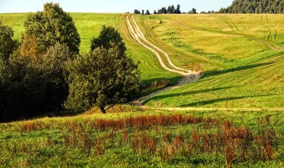 Rural Winding Dirt Path Through Lush Green Hills Under Clear Sky image