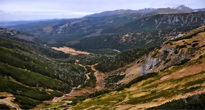 Mountain Valley Landscape with Alpine Vegetation and Distant Peaks image