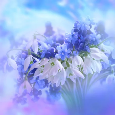 Beautiful Blue and White Spring Flowers Bouquet with Soft Focus Dreamy Background image