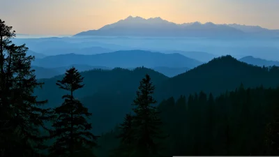 Sunrise Mountain Range Forest Layers with Blue Hues image