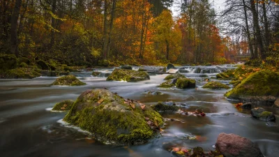 Enchanting Autumn River Flowing Through Vibrant Forest with Mossy Rocks image