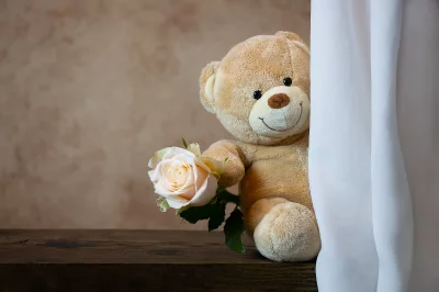 Adorable Plush Teddy Bear Holding Cream Rose Peeking from White Curtain image