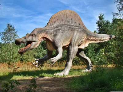 Realistic Spinosaurus Dinosaur Model Striding Through Lush Outdoor Park image