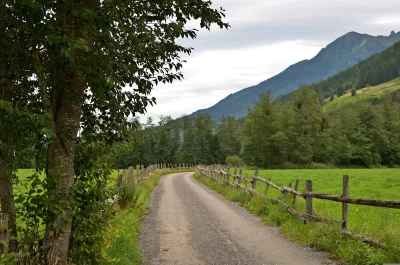 Serene Winding Road in Lush Mountainous Landscape with Rustic Fence image