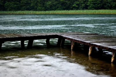 Raindrops on a rustic wooden pier extending into a serene lake with green trees image