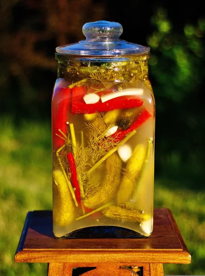 Homemade Pickled Cucumbers, Spicy Red Peppers, Garlic, and Dill in a Glass Jar image