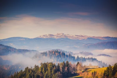 Misty Autumn Mountain Landscape with Pine Forest and Snow-Capped Peaks image