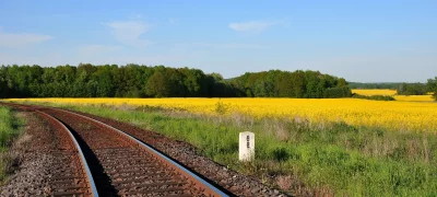 Scenic railway track winding through vibrant yellow rapeseed fields and lush green forest under clear sky image