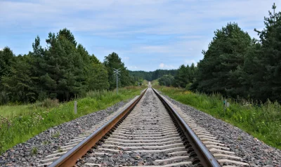 Endless Train Tracks Through Green Forest Landscape Under Blue Sky image