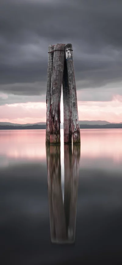 Weathered wooden posts stand in calm water at dusk