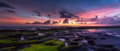 Dramatic Ocean Sunset with Moss-Covered Rocks and Colorful Sky image