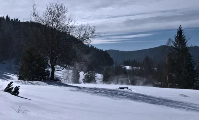 Winter Landscape with Snow-Covered Field, Bare Trees, and Distant Forest Hills image
