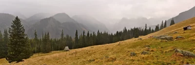 Panoramic Misty Mountain Valley: Autumnal Fields, Pine Forests, and Rustic Huts image