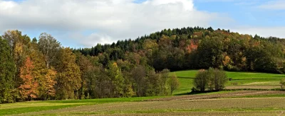 Vibrant Autumn Forest and Farmland Landscape Under Dynamic Cloudy Sky image